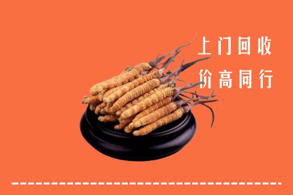 高价求购：盐山县回收散虫草