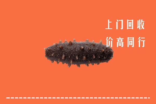 高价求购：盐山县回收海参