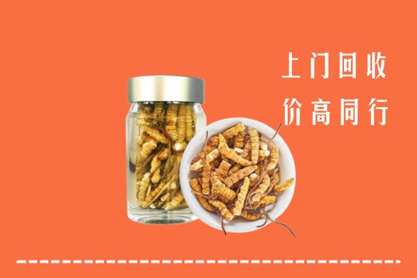 盐山县回收冬虫夏草