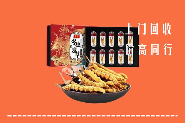 盐山县回收虫草